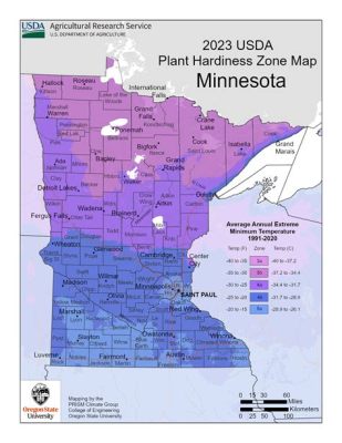 what gardening zone is minnesota what's the best time to plant tomatoes in minnesota